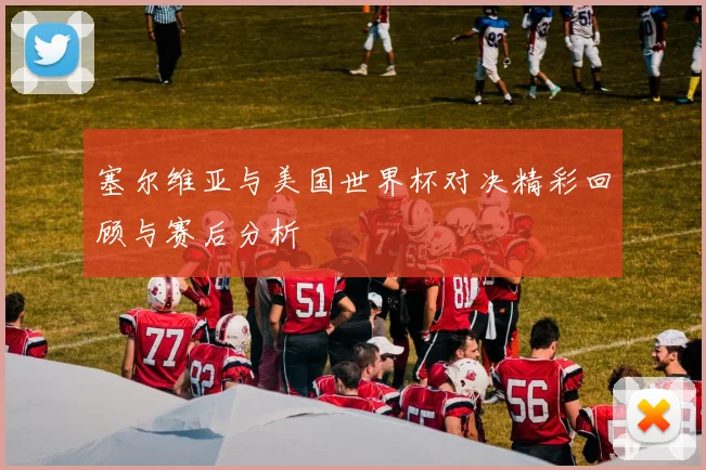 塞尔维亚与美国世界杯对决精彩回顾与赛后分析