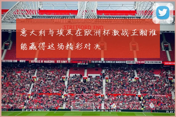 意大利与埃及在欧洲杯激战正酣谁能赢得这场精彩对决