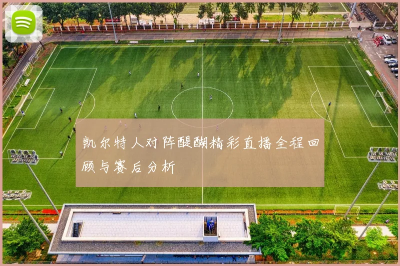 凯尔特人对阵醍醐精彩直播全程回顾与赛后分析