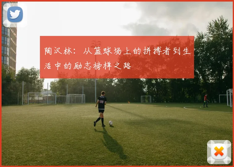 陶汉林：从篮球场上的拼搏者到生活中的励志榜样之路