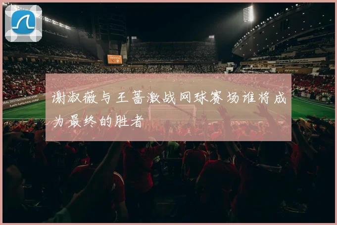 谢淑薇与王蔷激战网球赛场谁将成为最终的胜者