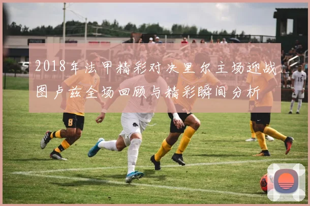 2018年法甲精彩对决里尔主场迎战图卢兹全场回顾与精彩瞬间分析